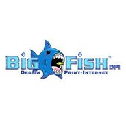 BIG Fish DPI