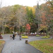 The Shrine of Lourdes in Litchfield