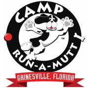 Camp Run-A-Mutt Gainesville