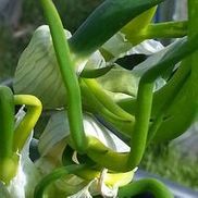 Canmore Lock Service