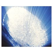 Borkhuis Investigation Services