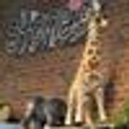 Stone's Education & Toys