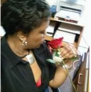 The Rose Tax Office