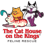 The Cat House on the Kings