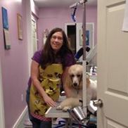 Rosendale Pet Groomer -Sara's Style Pet Grooming