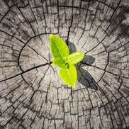 Guelph Counselling and Holistic Healing Centre