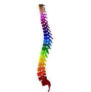 Orion Diagnostic & Chiropractic Center