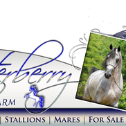 Canterberry Arabian Farm