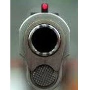 WhatIsMyGunWorth.com