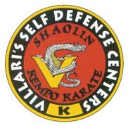 Villari's Self Defense Center