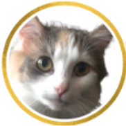Cat Behavior Alliance