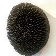 Sculptwax
