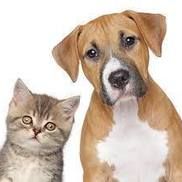 Gandt Petz, Hagerstown MD