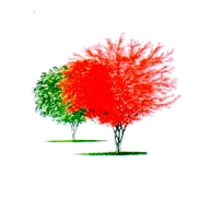 Schneider Nursery, Inc.