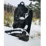 Q I Inc, Santa Fe NM