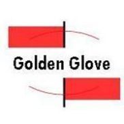 Golden Glove Cleaning Services, Fayetteville GA