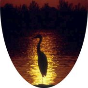 Sustainable Ecosystems International