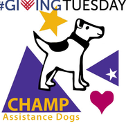 Champ Assistance Dogs