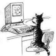 Copycat Printing and Design