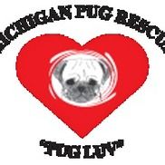 Mi store pug rescue