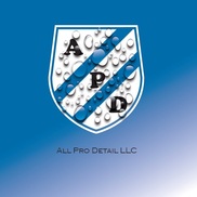 All Pro Detail LLC, Largo FL