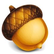 Acorn Construction