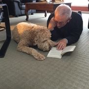 Community Therapy Dogs Society