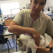 Bel-Rea Institute of Animal Technology - Alignable