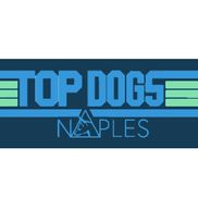 Naples Top Dogs.  Naples Premier In-home Training