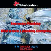 GTA Restoration | Water Damage Toronto Mold Removal Inc., North York ON