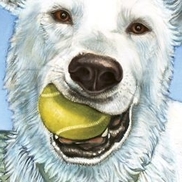 Peggy Lindt Illustration & Design