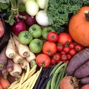 Lester's Farm Market