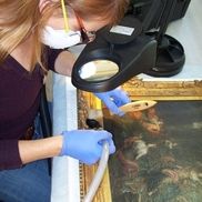 ACdR Conservation - Art Conservation de Rigueur, San Francisco CA