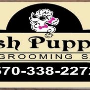 Posh Puppies Pet Salon 