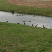 Advanage Diversified Products Inc Harvey Area Alignable