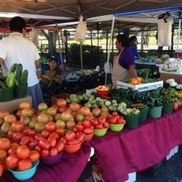 Golden Gate Farmers Market