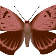 Achieving wellness LLC