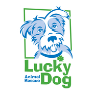 Lucky Dog Animal Rescue