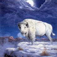 White Buffalo Security / Bail Enforcement