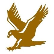 Eagle Land Surveying Inc.