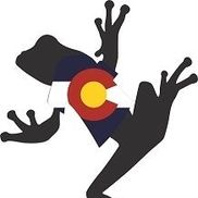 Big Frog Custom T-Shirts & More