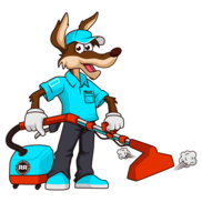 Rio Rancho Carpet & Upholstery Cleaning LLC