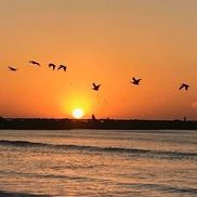 James Pate RE Inspection Service