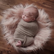 Kristin Milito Photography