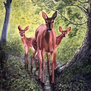 HERON'S NEST STUDIO GALLERY - Wendie Donabie, Resident Visual Artist & Writer