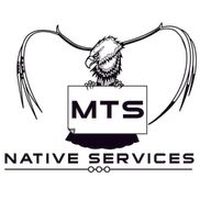 MTS Native Services
