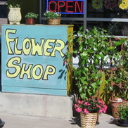 Diz's Daisys Flower Shop-Denver, Colorado