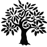 Mt Olive Lutheran Pre-School
