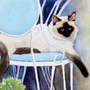 Sue Lynn Cotton /Florida Artist and Illustrator