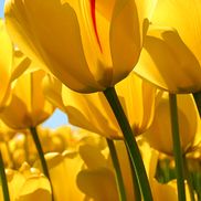 Retama Manor Health & Rehab - Rio Grande City-Sava Senior Care